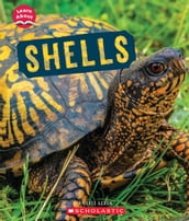 Shells (Learn About: Animal Coverings)