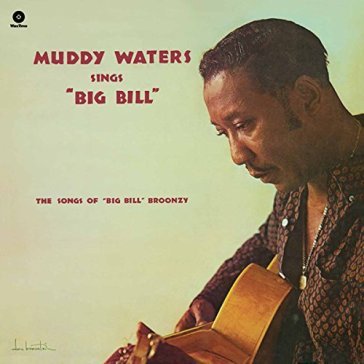 Sings big bill broonzy - Muddy Waters