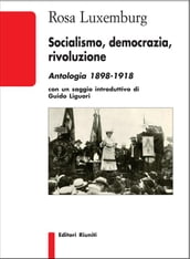 Socialismo, democrazia, rivoluzione