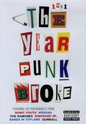 Sonic Youth - 1991: The Year Punk Broke