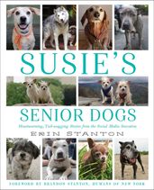 Susie s Senior Dogs