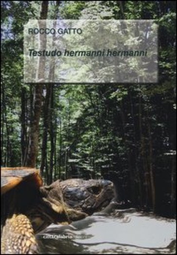 Testudo Hermanni Hermanni - Rocco Gatto