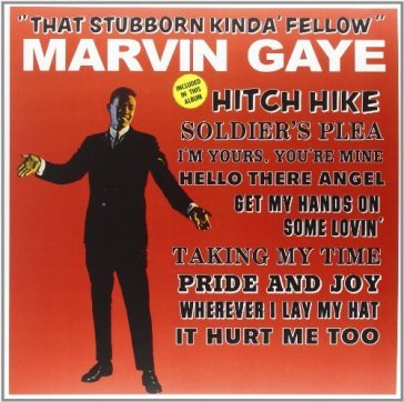 That stubborn kinda' fellow - Marvin Gaye
