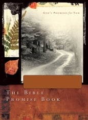 The Bible Promise Book - NLV Gift Edition