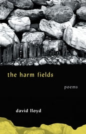 The Harm Fields