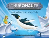 The Hugonauts - Animals of the South Pole