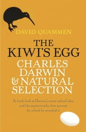 The Kiwi s Egg
