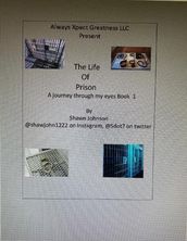 The Life of Prison: A Journey Through My Eyes