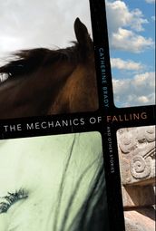 The Mechanics of Falling and Other Stories