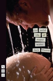 The Solid Life of Sugar Water (NHB Modern Plays)