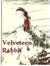 The Velveteen Rabbit or How Toys Become Real, Illustrated