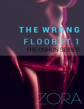 The Wrong Floor, Pt. 1 - The Oshun Series