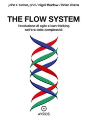 The flow system