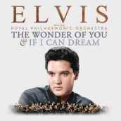 The wonder of you elvis presley with the