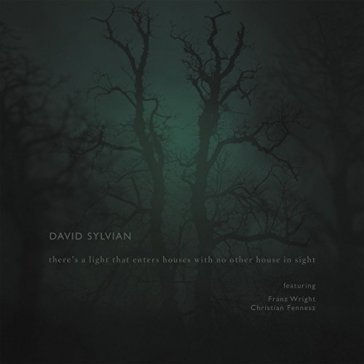 There is a light that enters.. - David Sylvian