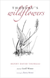 Thoreau s Wildflowers