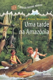 Uma tarde na Amazônia