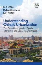 Understanding China s Urbanization