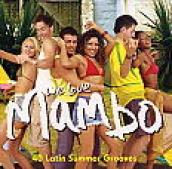 We love mambo: 40 latin summer grooves