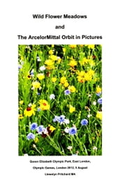 Wild Flower Meadows and The ArcelorMittal Orbit in Pictures [Part 1]