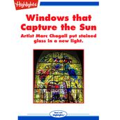 Windows That Capture the Sun