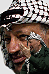 Yasser Arafat, Palestina 1980