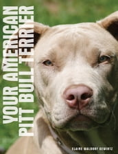 Your American Pit Bull Terrier