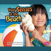 Your Senses at the Beach