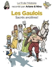 Le fil de l Histoire raconté par Ariane & Nino - Les Gaulois
