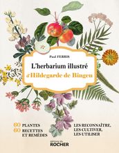 L herbarium illustré d Hildegarde de Bingen