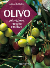 L olivo. Coltivazione, raccolta e utilizzo